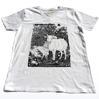 Organic T-shirts / B&CNW-VOR