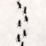 Couples / Ants - #03