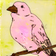 A Bird - #01