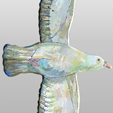 Home Made - Sea gull #03