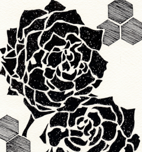 Roses in May / Drawing