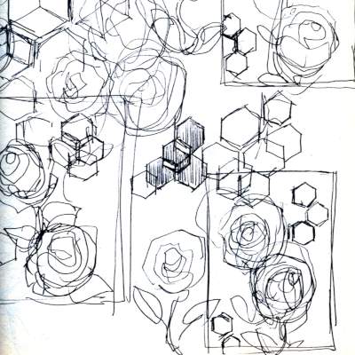 Roses in May - Sketch