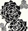 五月の薔薇 / Roses in May