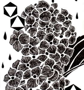 Hydrangea in Jun / Drawing