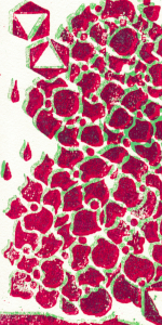  六月の紫陽花 木版画#03 / Hydrangea in Jun - Woodblock #04